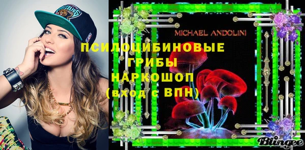 spice Аркадак