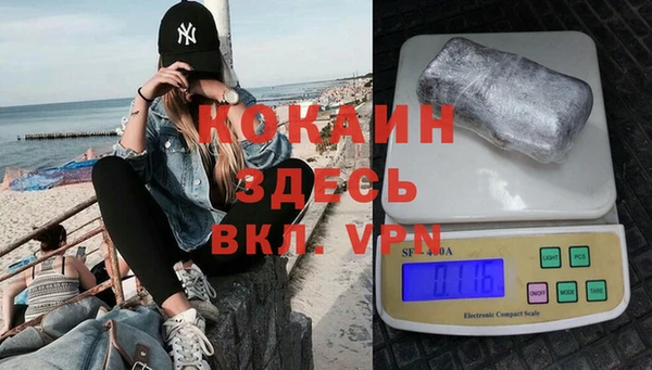 spice Аркадак