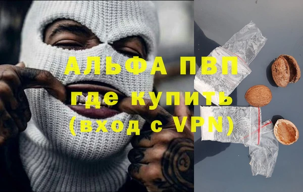 spice Аркадак