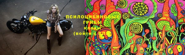 spice Аркадак