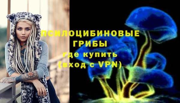 гидропоника Арсеньев